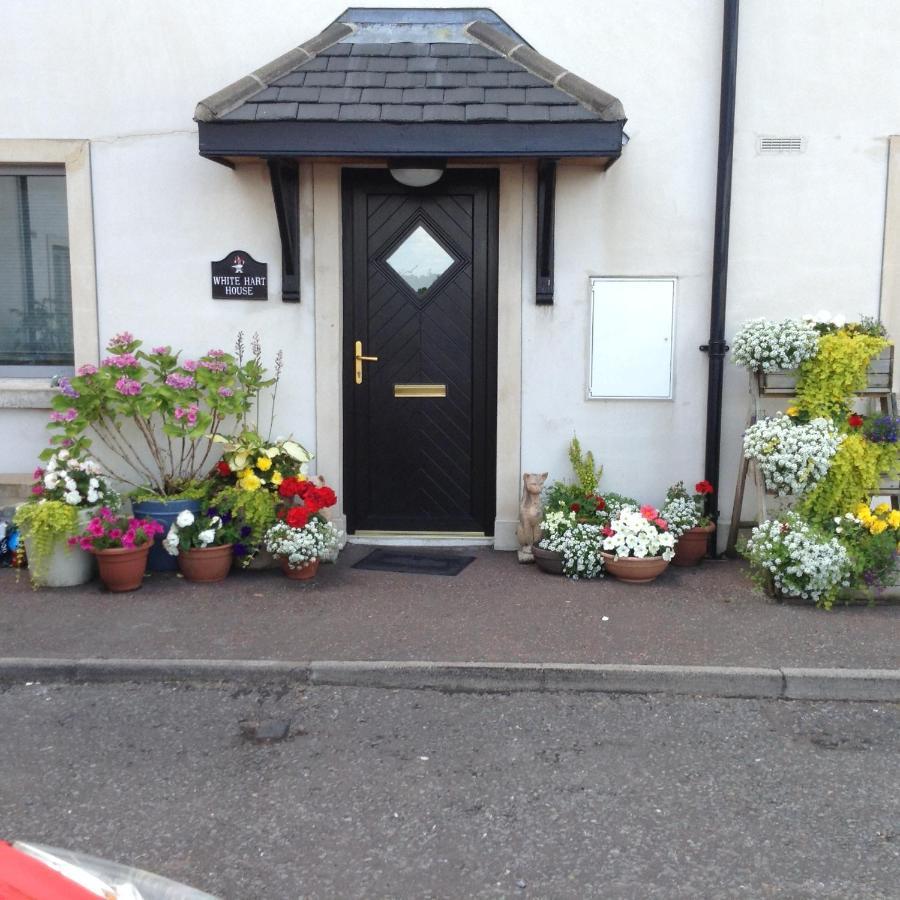 Apartamento White Heart House Enniskillen Exterior foto